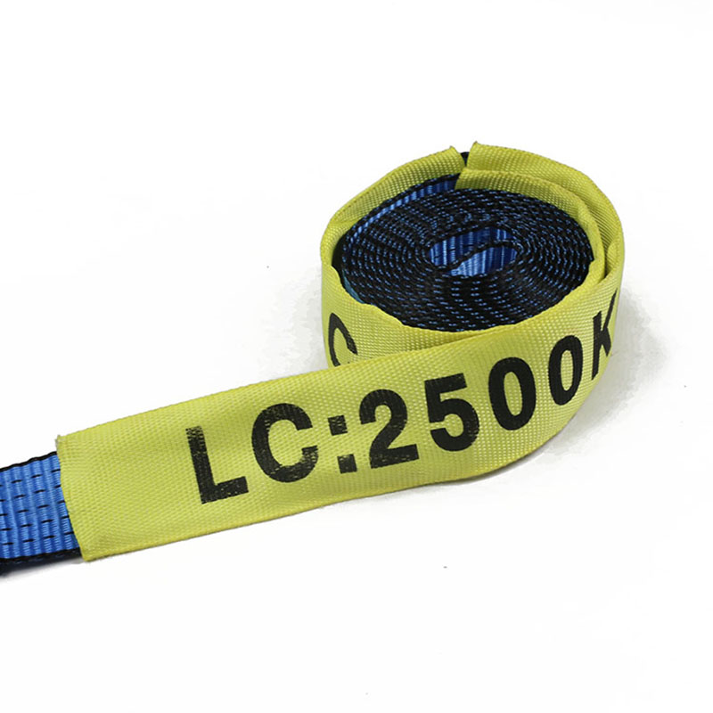 As correias de catraca de gancho de cisne 2INCH mais longas 5T