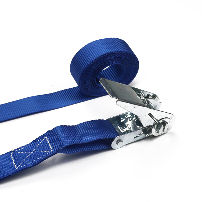 A alça de catraca 2PC definida em uma caixa de plástico de 25 mm